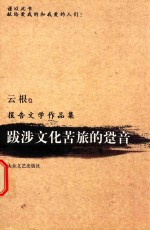 跋涉文化苦旅的跫音 封面