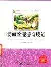 青少年必读丛书  爱丽丝漫游奇境记 封面