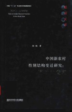 中国新农村  性别结构变迁研究  流动的父权 封面