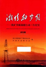 激情的岁月  找矿突破战略行动三年纪实成功篇 封面