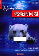 燃烧的问题 封面
