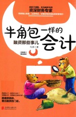 牛角包一样的会计  融资那些事儿 封面