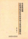 社会转型期北部湾经济区农村劳动力流动问题研究 封面