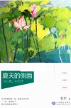 夏天的侧面  小心思，小日子 封面