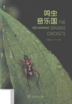 自然观察丛书  鸣虫音乐国 封面