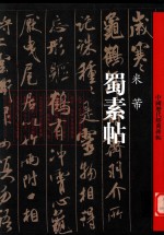 中国历代经典碑帖  蜀素帖 封面