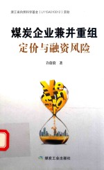 煤炭企业兼并重组定价与融资风险 封面