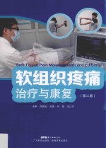软组织疼痛治疗与康复 封面