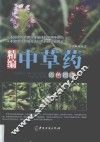精编中草药原色图谱 封面