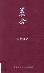 马勇讲史  革命 封面