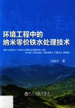 环境工程中的纳米零价铁水处理技术 封面