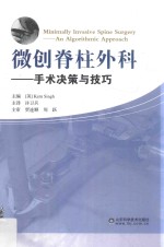 微创脊柱外科  手术决策与技巧 封面