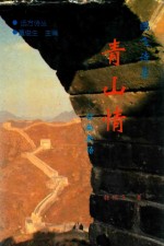 鹏飞诗集  青山情  访越新语 封面