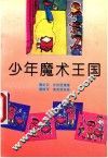 少年魔术王国 封面