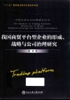 我国商贸平台型企业的形成、战略与公司治理研究 封面