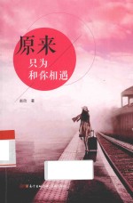 原来只为和你相遇 封面