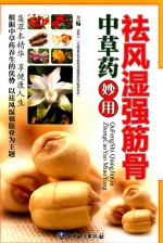 祛风湿强筋骨中草药妙用 封面