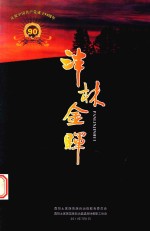 中国民间文学集成  泮林金辉 封面