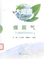大能源  煤气层 封面