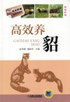 高效养貂 封面