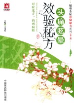 疑难杂症效验秘方系列  第2辑  头痛眩晕效验秘方 封面