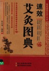速效艾灸图典 封面