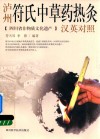 泸州符氏中草药热灸 封面