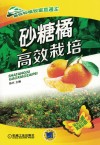 砂糖橘高效栽培 封面