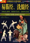 图解易筋经，洗髓经  全方位美绘版 封面