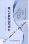 知识产权挖掘与申报 封面