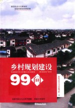 乡村规划建设99问 封面