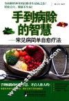 手到病除的智慧  常见病简单自愈疗法 封面