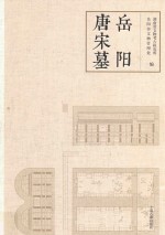 岳阳唐宋墓 封面