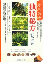 方到病除  独特秘方祛百病 封面