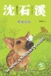 动物小说大王沈石溪  野猪囚犯  注音读本 封面