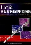 妇产科常见疾病病理诊断图谱 封面