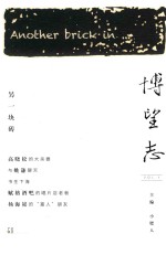 博望志  另一块砖 封面