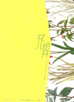 花儿绘开  花卉经典彩铅手绘图解 封面