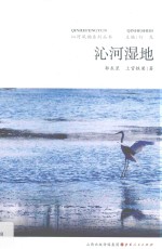 沁河湿地 封面