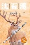 动物小说大王沈石溪  鹿王哈克  注音读本 封面