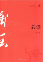 裂缝 封面
