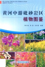 黄河中游砒砂岩区植物图鉴 封面
