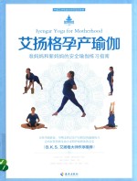 艾扬格孕产瑜伽  准妈妈和新妈妈的安全瑜伽练习指南 封面