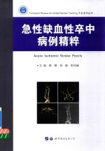 急性缺血性卒中病例精粹 封面