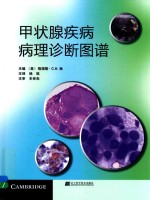 甲状腺疾病病理诊断图谱 封面