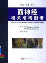 面神经相关结构图谱 封面