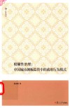 模糊性治理  中国城市摊贩监管中的政府行为模式  复旦博学文库 封面