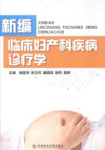 新编临床妇产科疾病诊疗学 封面