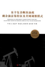 东辛复杂断块油藏剩余油富集特征及井网调整模式 封面