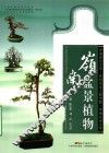 岭南盆景植物 封面